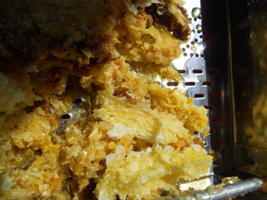 Bal ve bal peteği bu fotoğraf gösterir