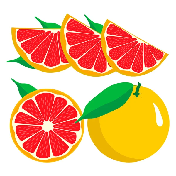 Set gyümölcsök grapefruit. — Stock Vector