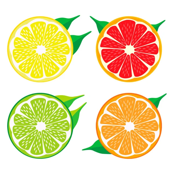 Meghatározott gyümölcs, narancs, grapefruit, citrom lime. — Stock Vector