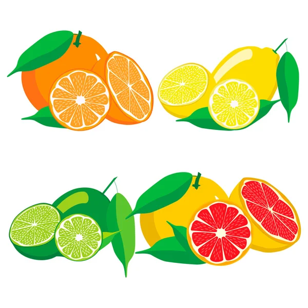 Set fruits Orange grapefruit lemon lime. — Stock Vector