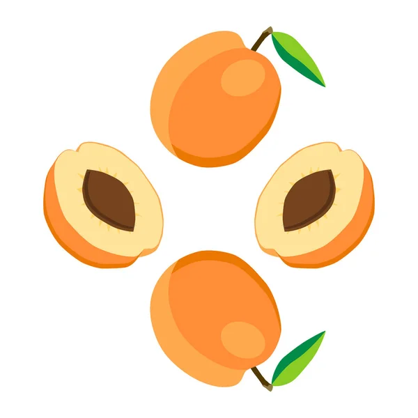 Illustration sur le thème de l'abricot aux fruits, marché aux étiquettes — Image vectorielle