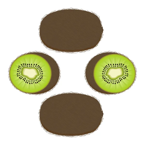 Vektor-Illustration des Logos für die grüne Kiwi — Stockvektor