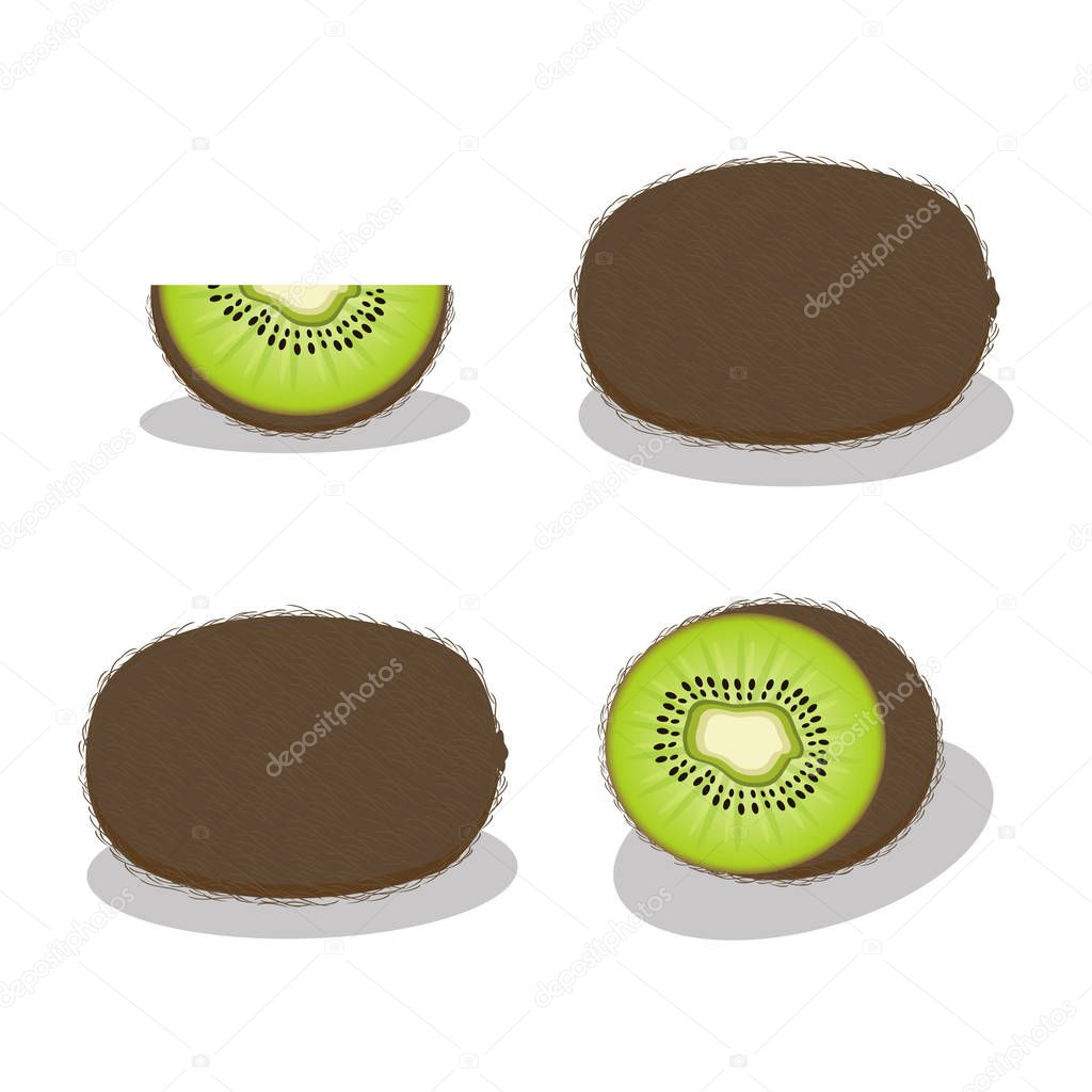 Abstract vector illustration of logo for the green kiwi