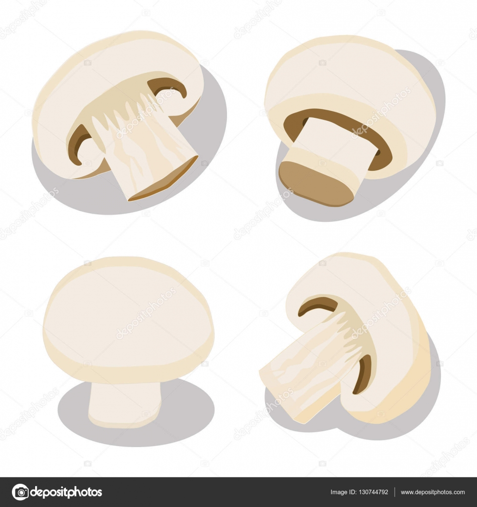 Vector Illustration Of Logo For Mushroom Champignon Stock Vector Image By C Oleg525 Vector Illustration Of Logo For Mushroom Champignon Stock Vector Image By C Oleg525