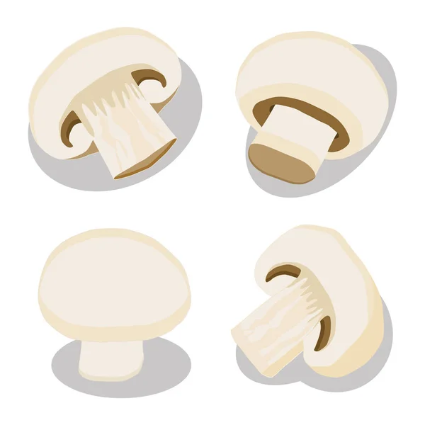 mantar champignon için logo vektör çizim