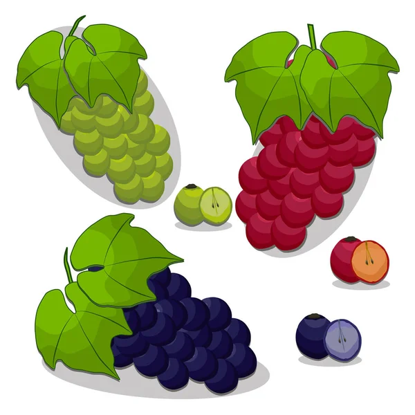 Векторная иллюстрация логотипа для набора винограда — стоковый вектор