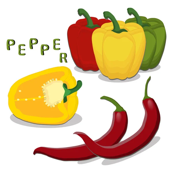 Illustration du logo pour le thème du poivre — Image vectorielle