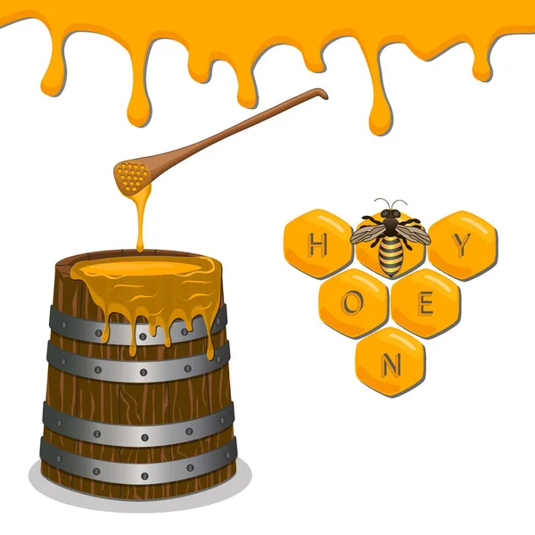 Honing in de honingraat — Stockvector