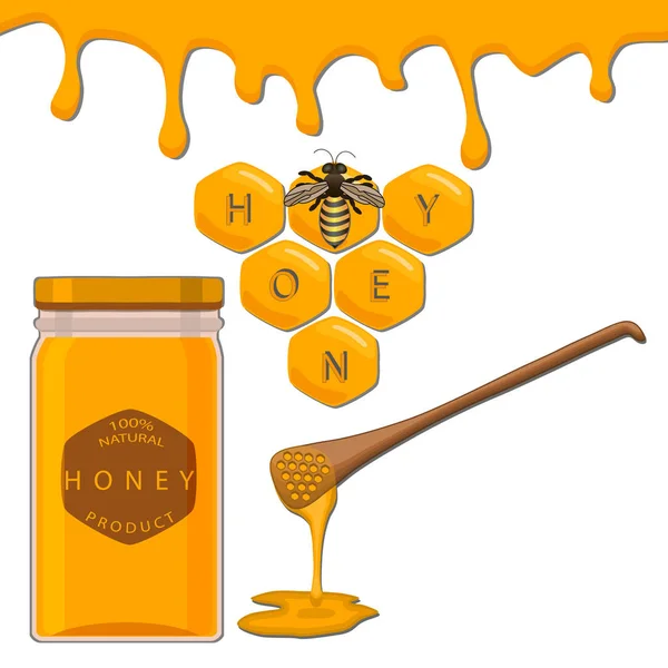 Honung i bikakan — Stock vektor