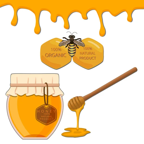 Μέλι στην κηρήθρα — Διανυσματικό Αρχείο