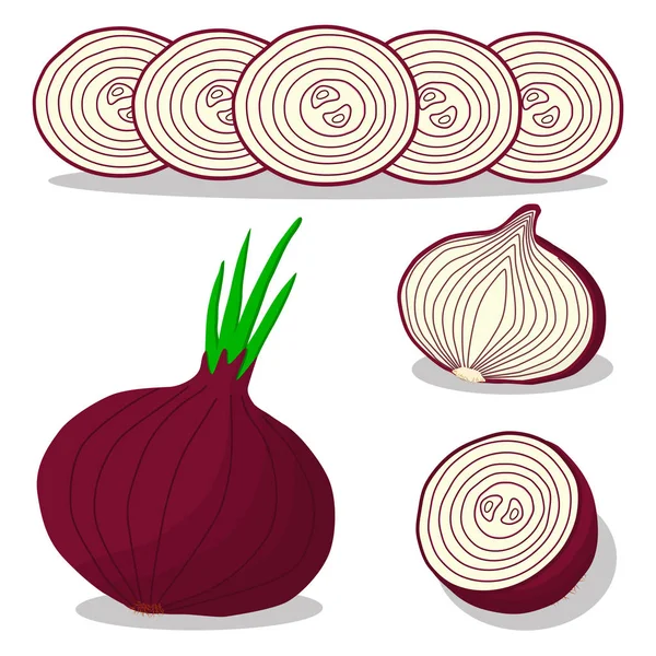 Eat fresh onions health. — Stock Vector