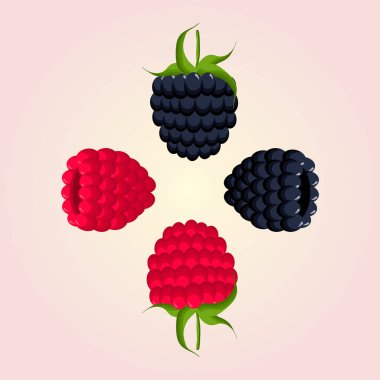 Ahududu ve böğürtlen