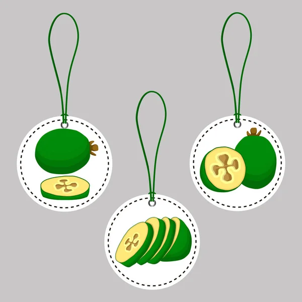 Fruit vert feijoa — Image vectorielle