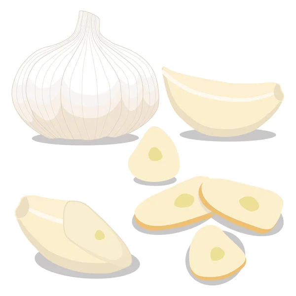 Légumes mûrs ail jaune amer — Image vectorielle