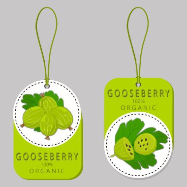 Olgun meyve bektaşi üzümü