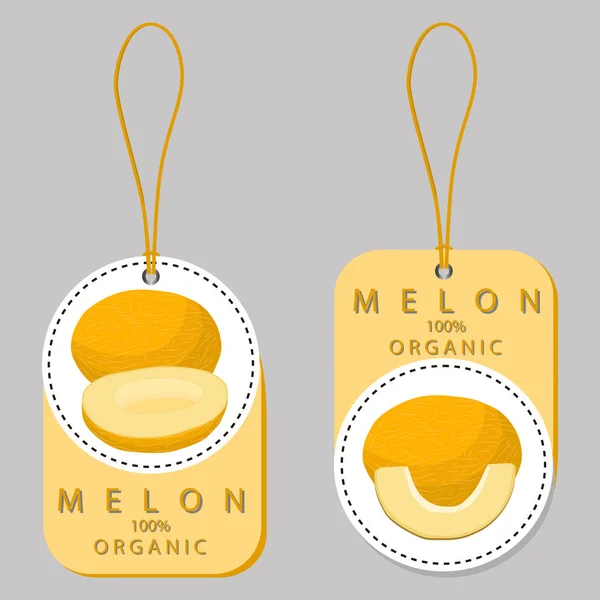 Melon jaune de fruits — Image vectorielle