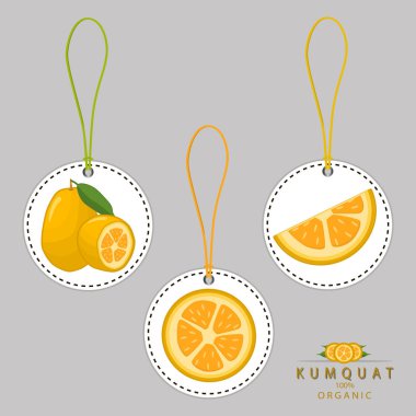 ripe fruit kumquat clipart
