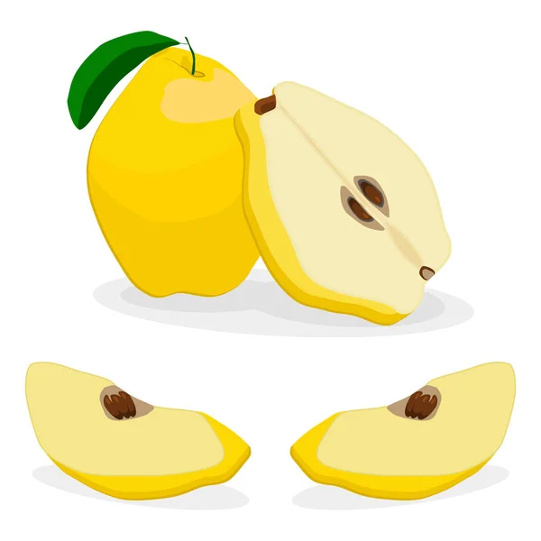 Membrillo de fruta amarillo — Vector de stock