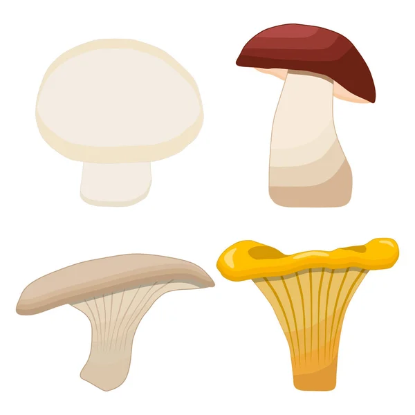 Vector illustratie logo van eetbare paddenstoelen verse gele Hanenkam (zwam) — Stockvector