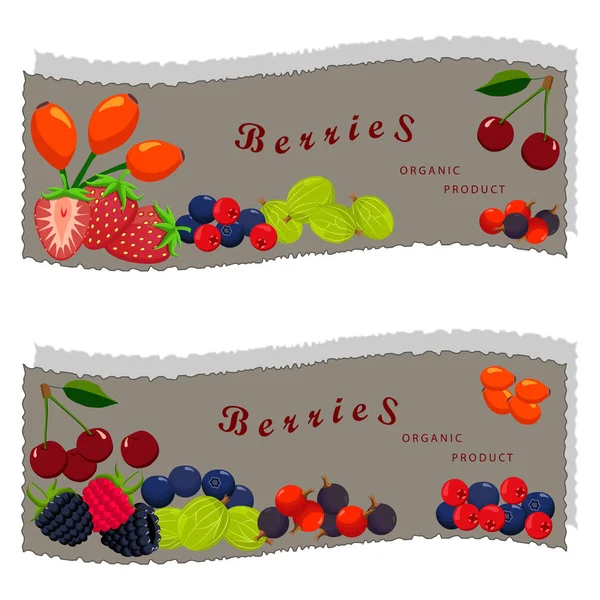 Geïsoleerde berry: aardbei, kers, framboos, blackberry — Stockvector