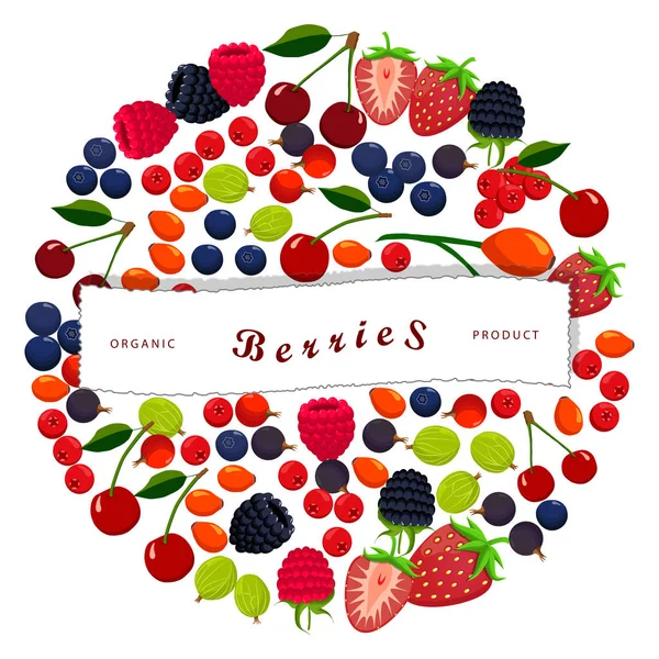 Na białym tle berry: truskawka, wiśnia, Malina, Jeżyna — Wektor stockowy