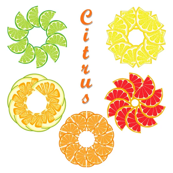 熟した柑橘系の果物のオレンジ、レモン、ライム、グレープ フルーツ — ストックベクタ