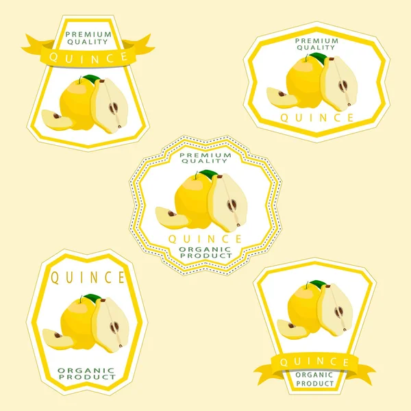 The yellow quince — Stock Vector