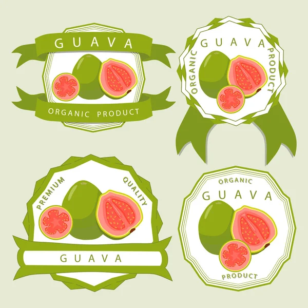 Zielony guawa — Wektor stockowy