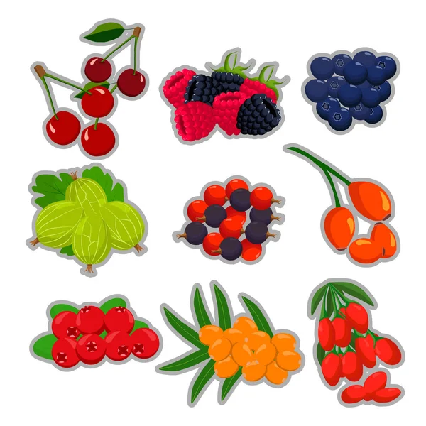 Тематические ягоды — стоковый вектор