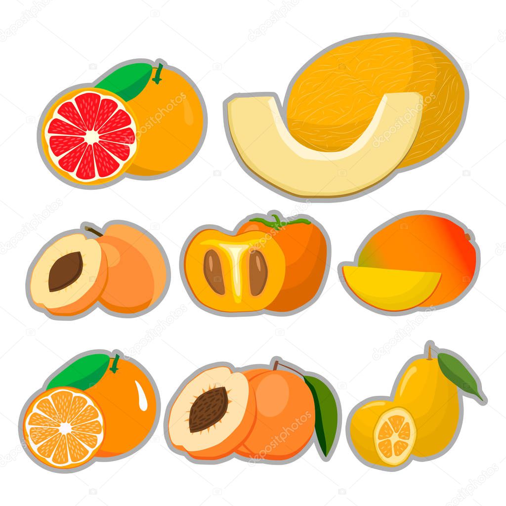 Abstract vector illustration logo for whole ripe fruit melon apricot peach green stem cut sliced.