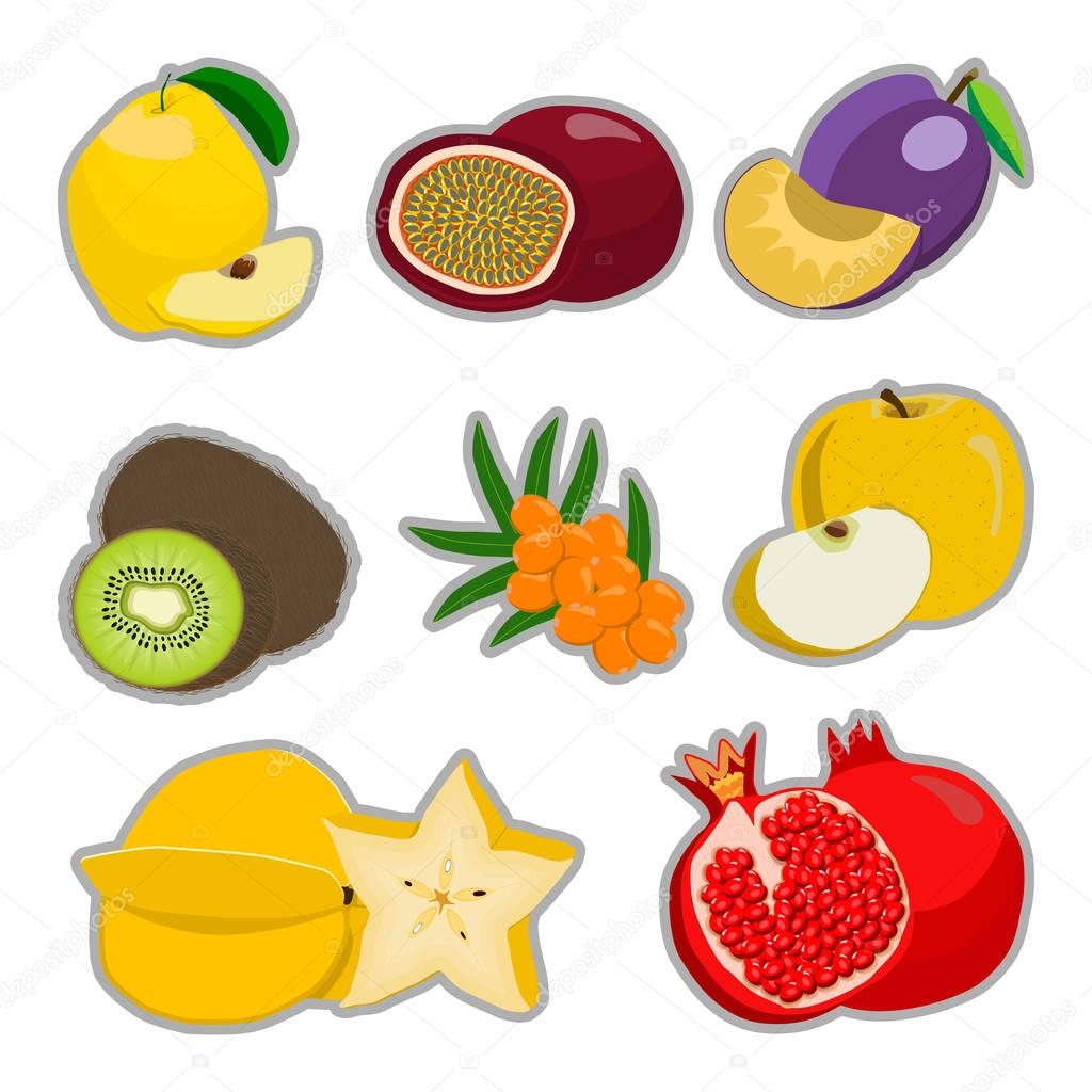 Abstract vector illustration logo for whole ripe fruit kiwi plum pomegranate cut sliced.
