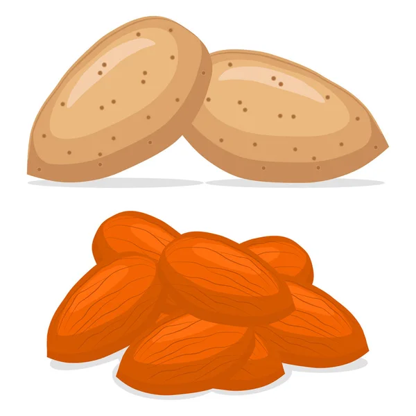 The theme nuts — Stock Vector