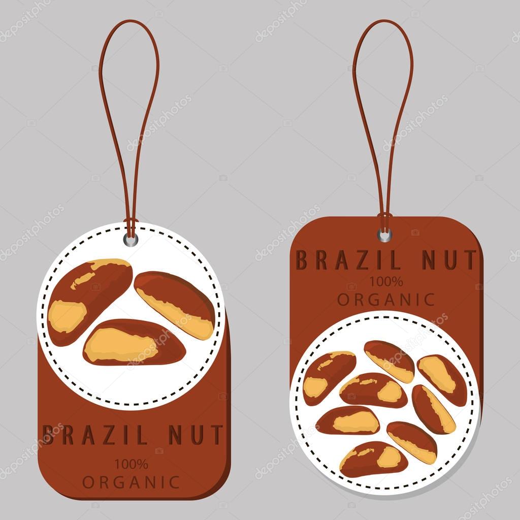 Abstract vector illustration logo whole ripe brown nut, cut sliced, product brazil background.