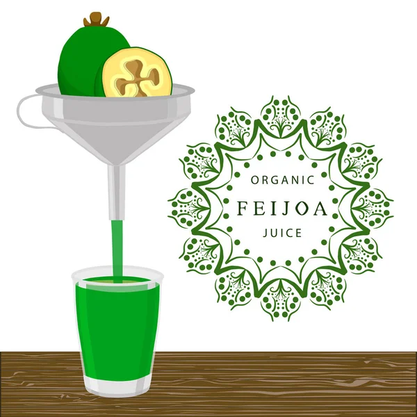 O tema feijoa — Vetor de Stock