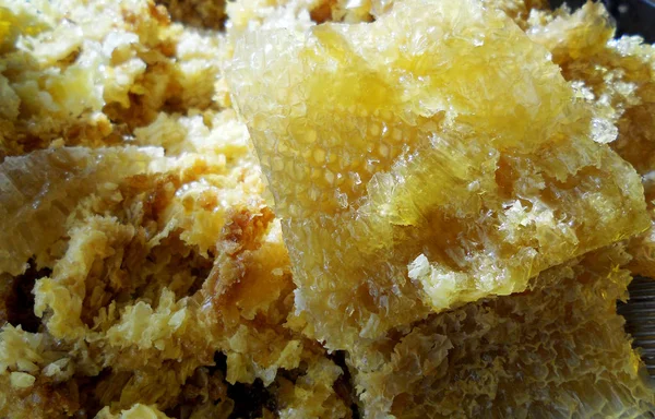 The yellow honey — Stock Photo, Image
