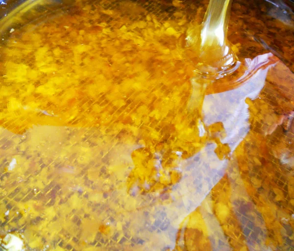 The yellow natural honey — Stock Photo, Image