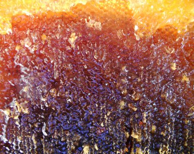 Fotoğraf için Tema sarı doğal bal