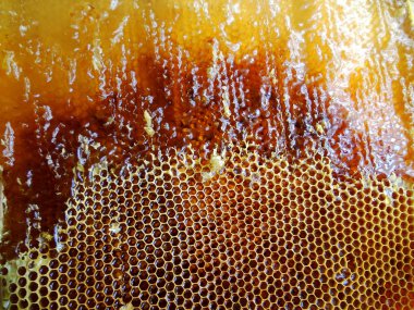 Fotoğraf için Tema sarı doğal bal