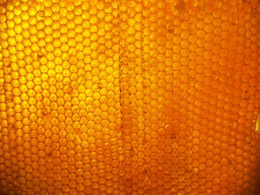 Fotoğraf için Tema sarı doğal bal