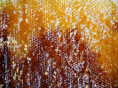 Fotoğraf için Tema sarı doğal bal