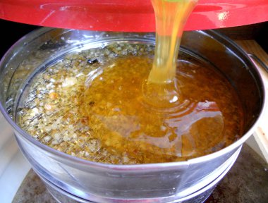 Fotoğraf için Tema sarı doğal bal