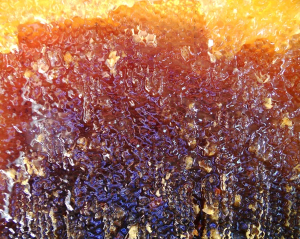 Fotoğraf için Tema sarı doğal bal