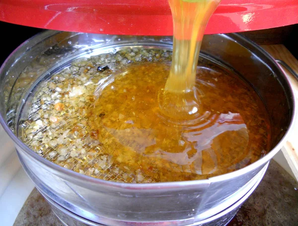 Fotoğraf için Tema sarı doğal bal