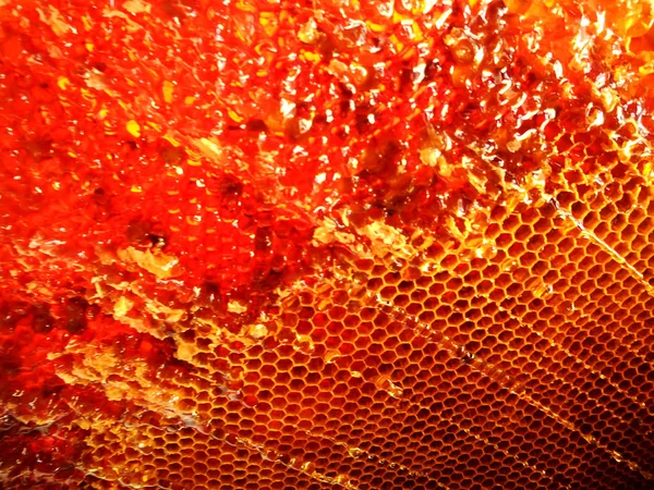 Fotoğraf için Tema sarı doğal bal