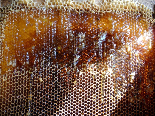 Das Foto zum Thema gelber natürlicher Honig — Stockfoto