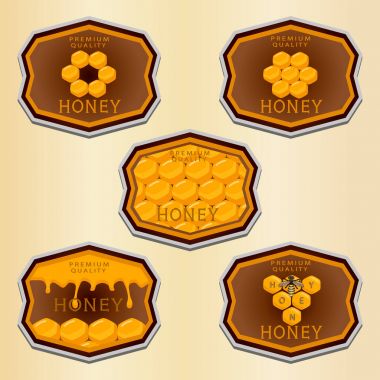 Tema doğal bal için tasarlamak vektör