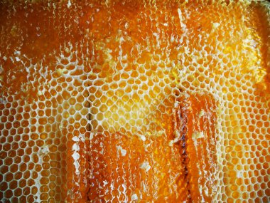 Tema doğal bal için soyut fotoğraf.