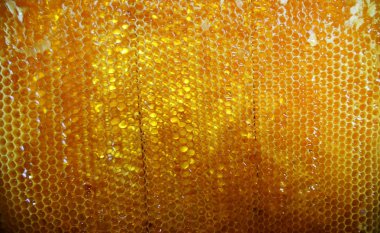 Tema doğal bal için soyut fotoğraf.