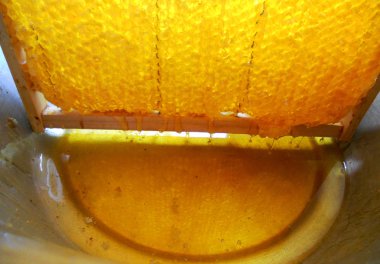 Tema doğal bal için soyut fotoğraf.