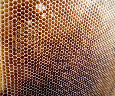 Tema doğal bal için soyut fotoğraf.